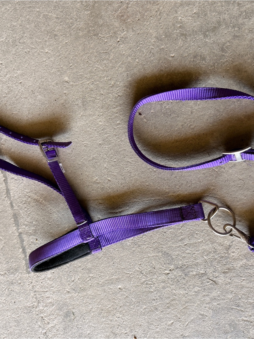 Adjustable Purple Nylon Tiedown Pony Size